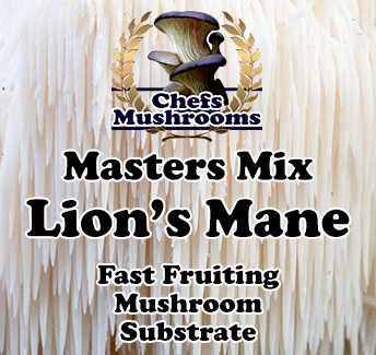 Masters-Mix-Lion's-Mane