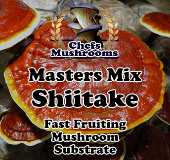 Masters-Mix-Red-Reishi