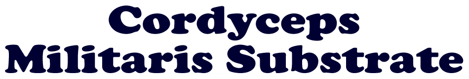 Cordyceps-Militaris-Substrate-mobile Cordyceps-Militaris-Substrate-mobile