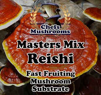 Masters-Mix-Reishi