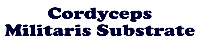 Cordyceps-Militaris-Substrate