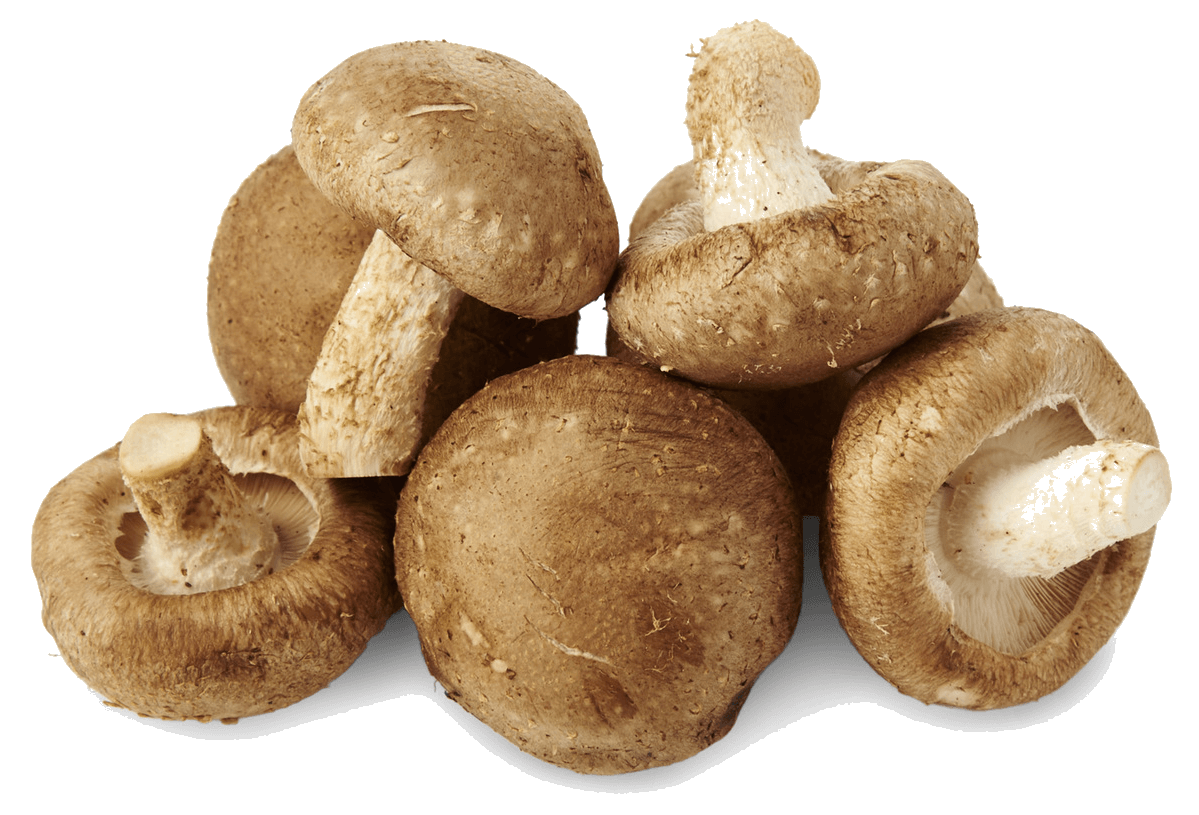 Chefs-Mushrooms-shiitake